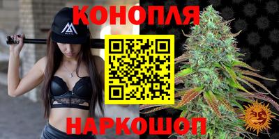крисы Гай