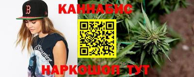 крисы Гай