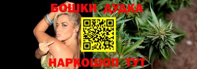 крисы Гай