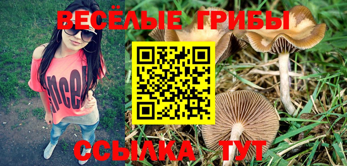 Канаш  Псилоцибиновые грибы мицелий  Псилоцибиновые грибы MAGIC MUSHROOMS  Вход с VPN 