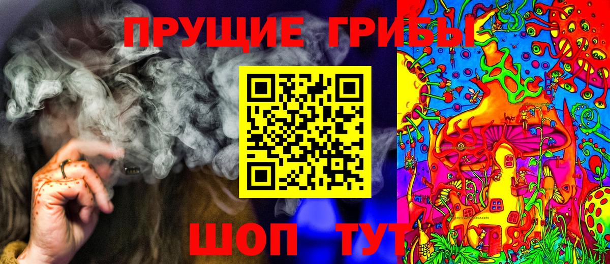 Псилоцибиновые грибы мицелий Канаш